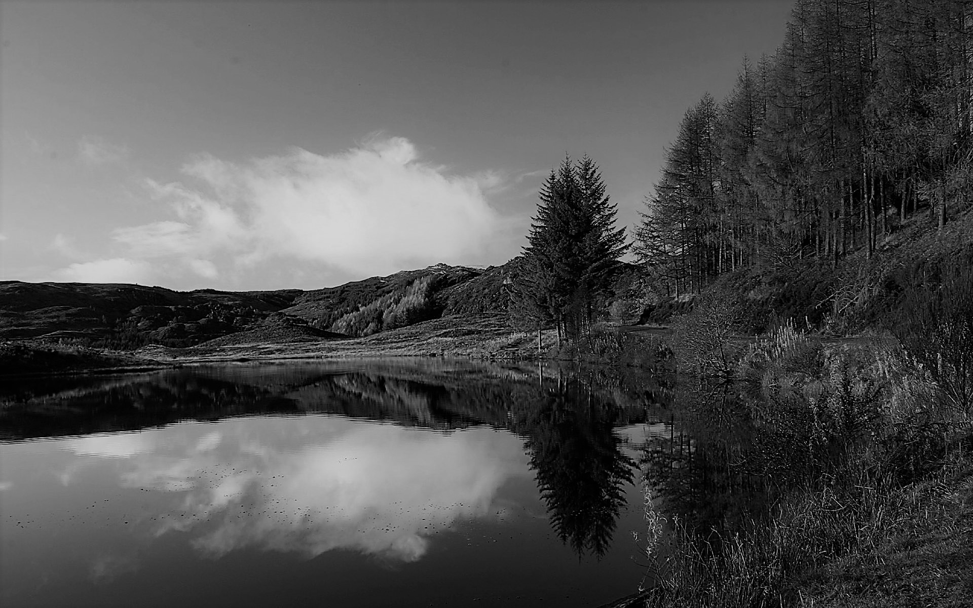 ಡಿ.ವಿ.ಜಿ. ಅವರ "ಜೀವನಧರ್ಮಯೋಗ": ಸರ್ವಾನುಕೂಲ ಗೀತಾವಿವೃತಿ - 4
