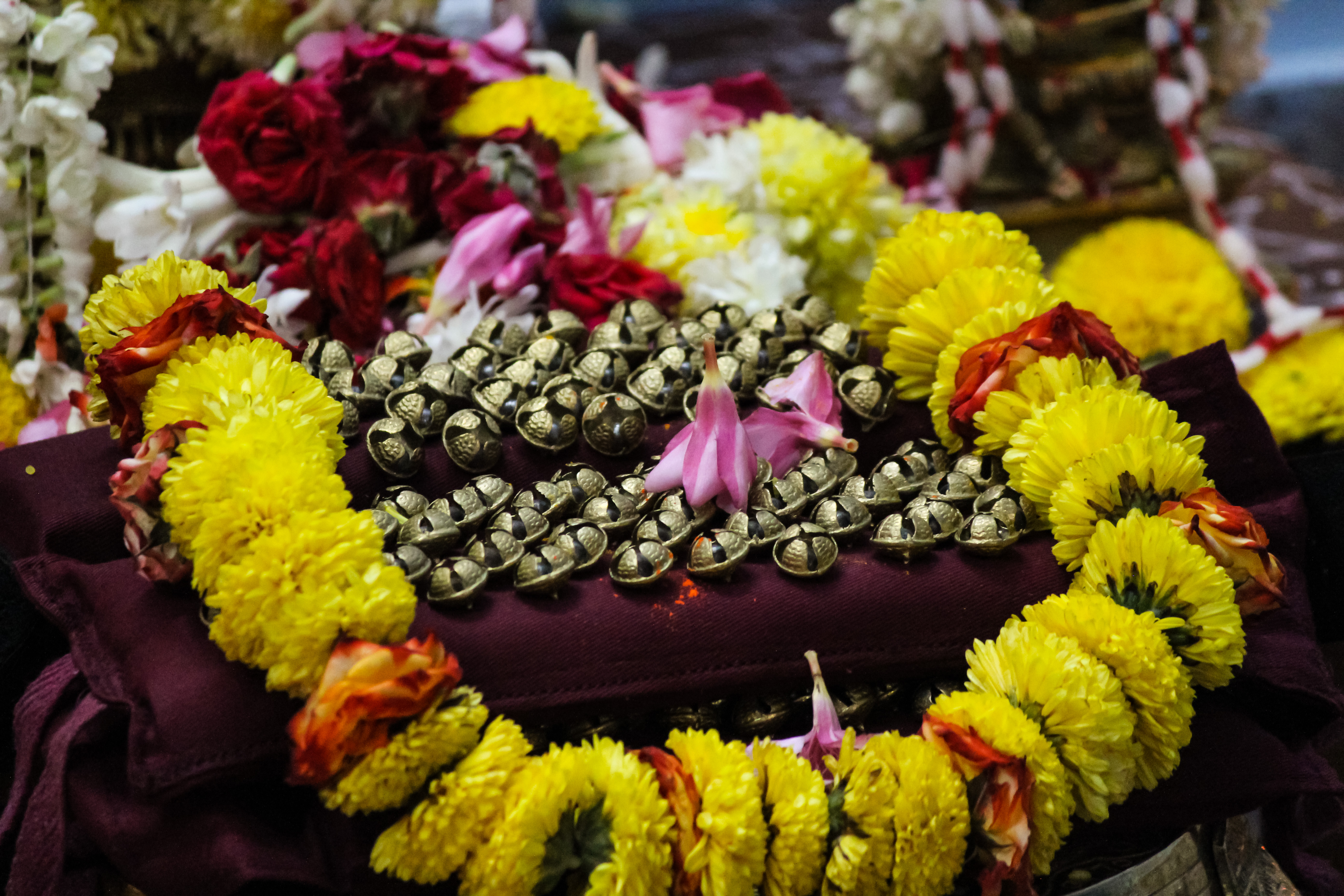 A Few Distinguished Dancers (Part 2)