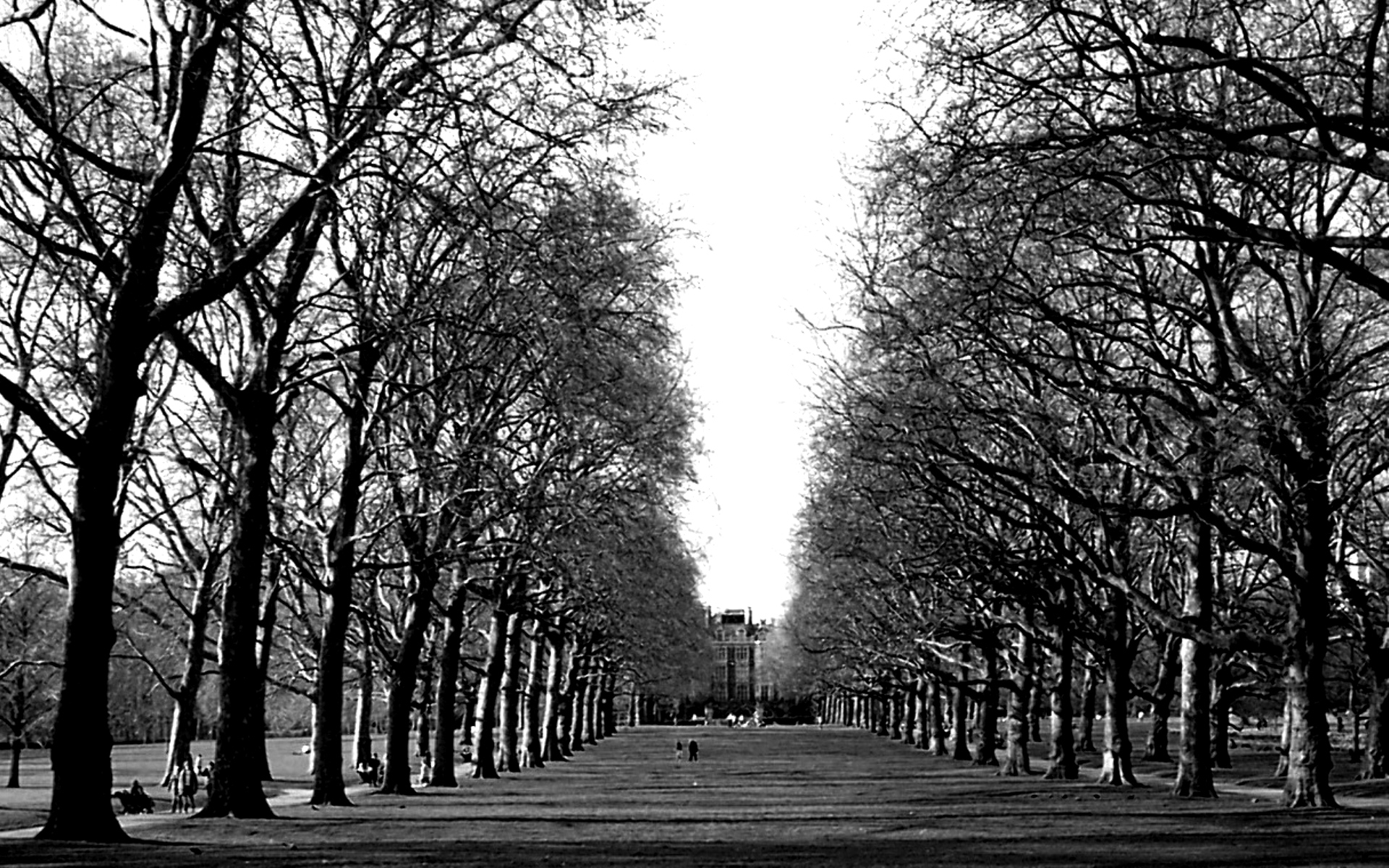 My Ātma-guru: N Narasimha Murthy (Part 3)