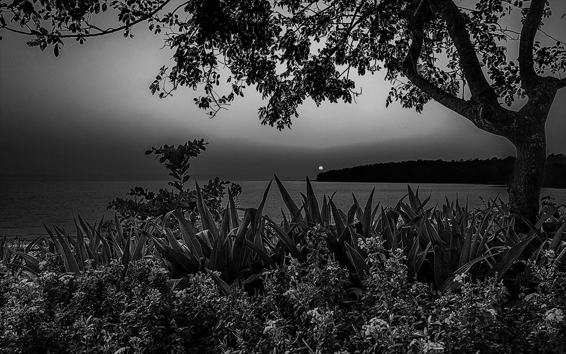 ವಾಲ್ಮೀಕಿಮುನಿಗಳ ವಾಗ್ವಿಲಾಸ - 5