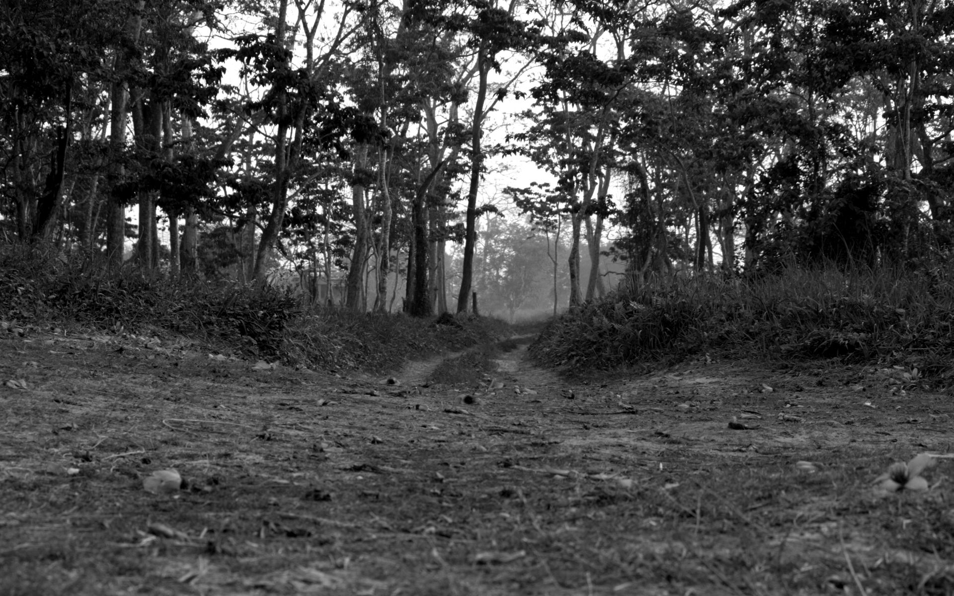 Relevance of Poetry in the Modern World