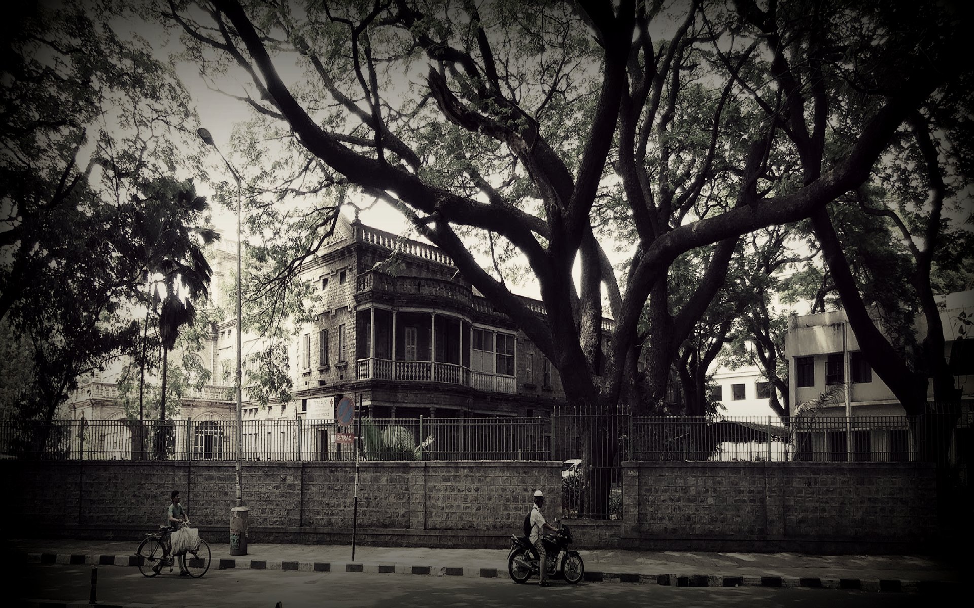 Dr. Achyuta Rao: A Founder Kannada Sahitya Parishat