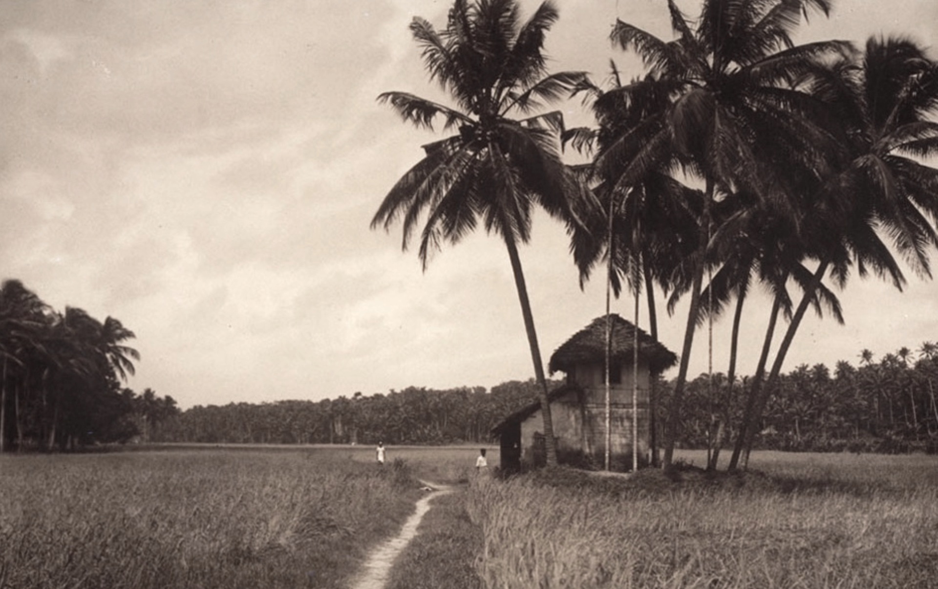 Chinmaya Summer School 2017 - Day 7