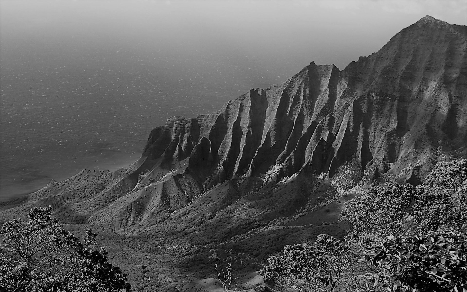 मानवस्य मूलभूतचोदनानुरोधं रस-पुरुषार्थसमीक्षणम्