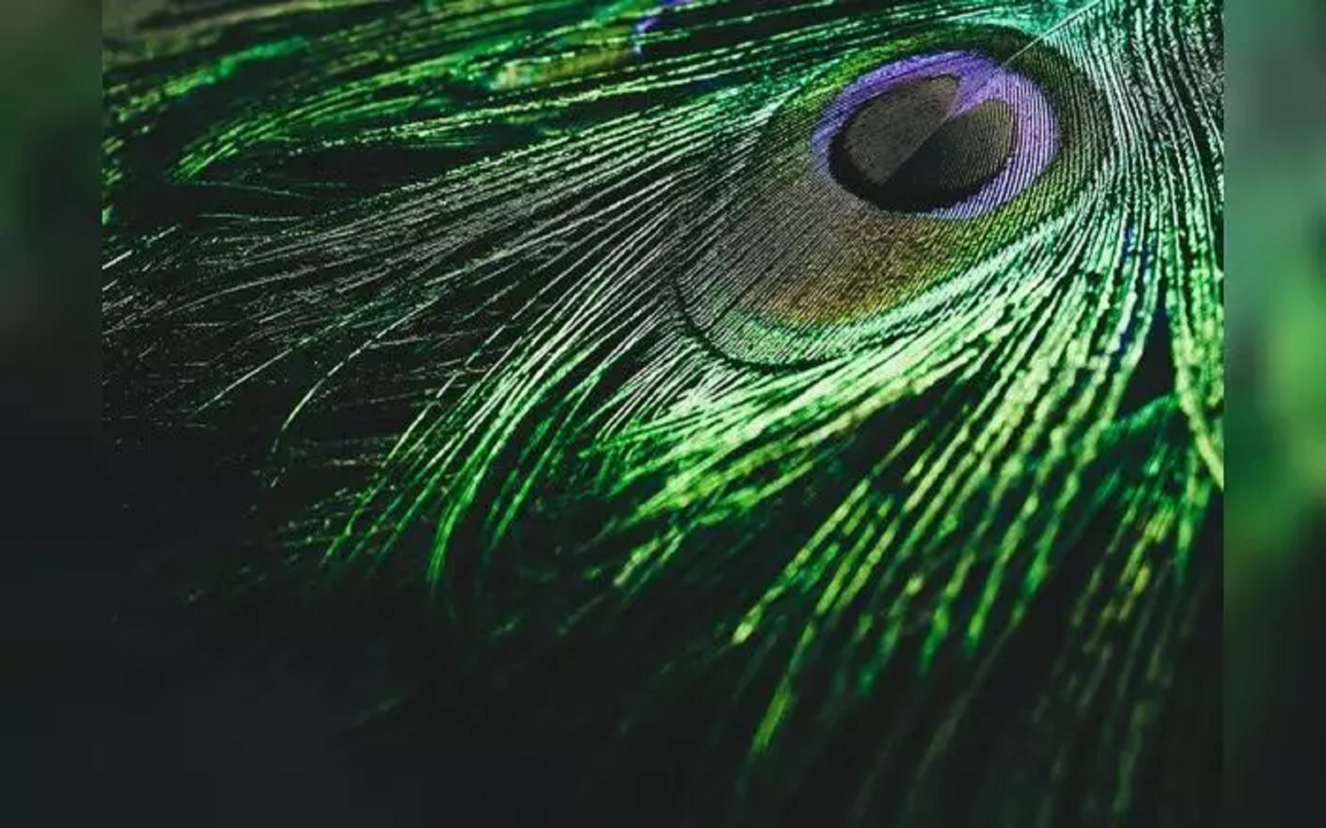 Saṃskṛta-nāṭaka - Harṣavardhana (Part 1)