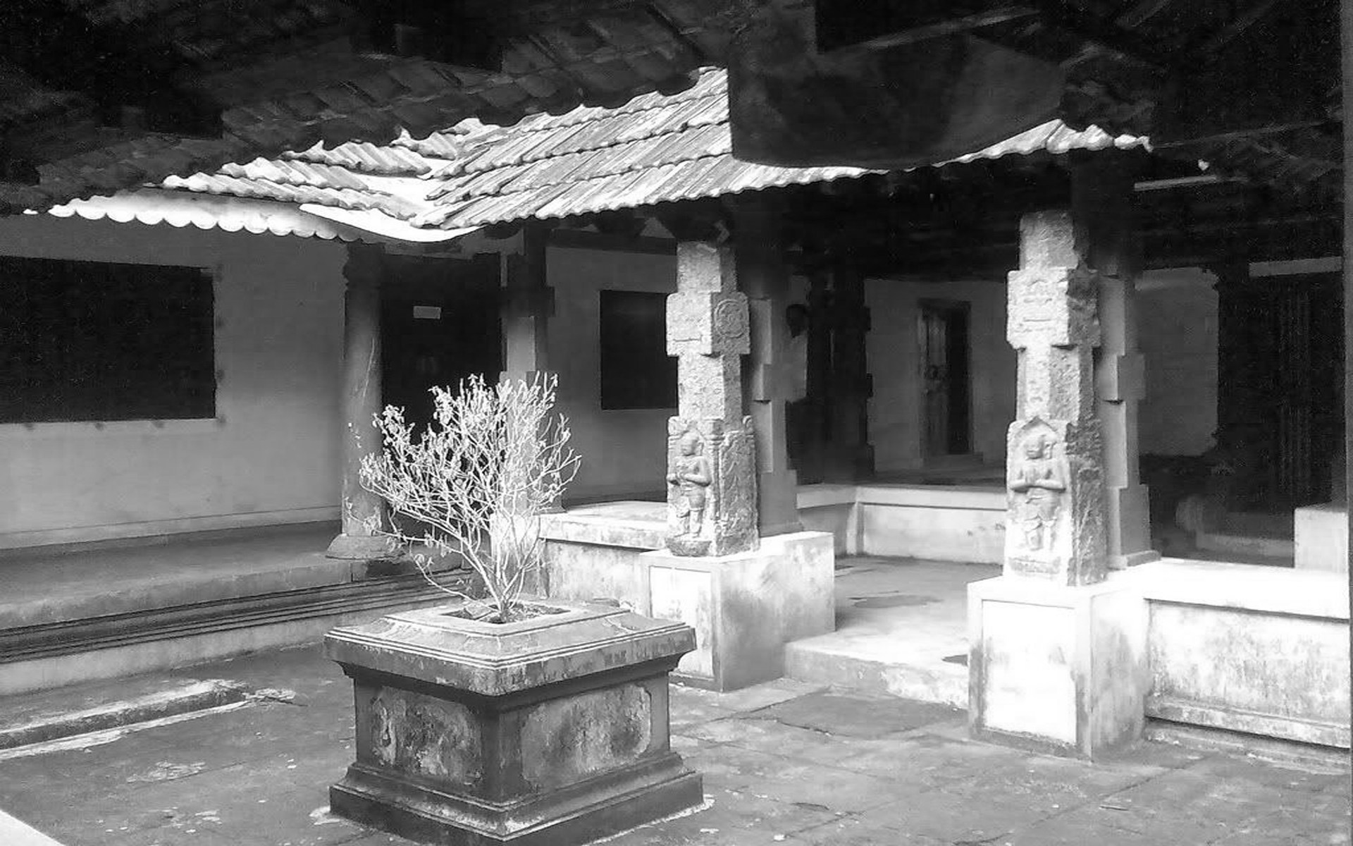 The Daily Routine of Punyashloka Venkatarama Bhatta