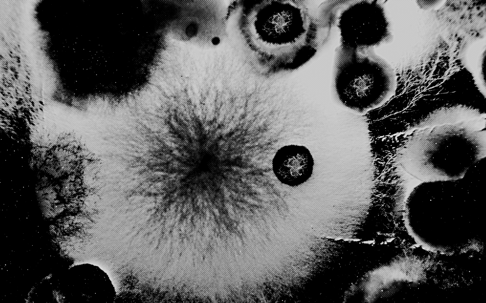 Rta, Satya, Dharma: Rta's Various Shades of Meaning