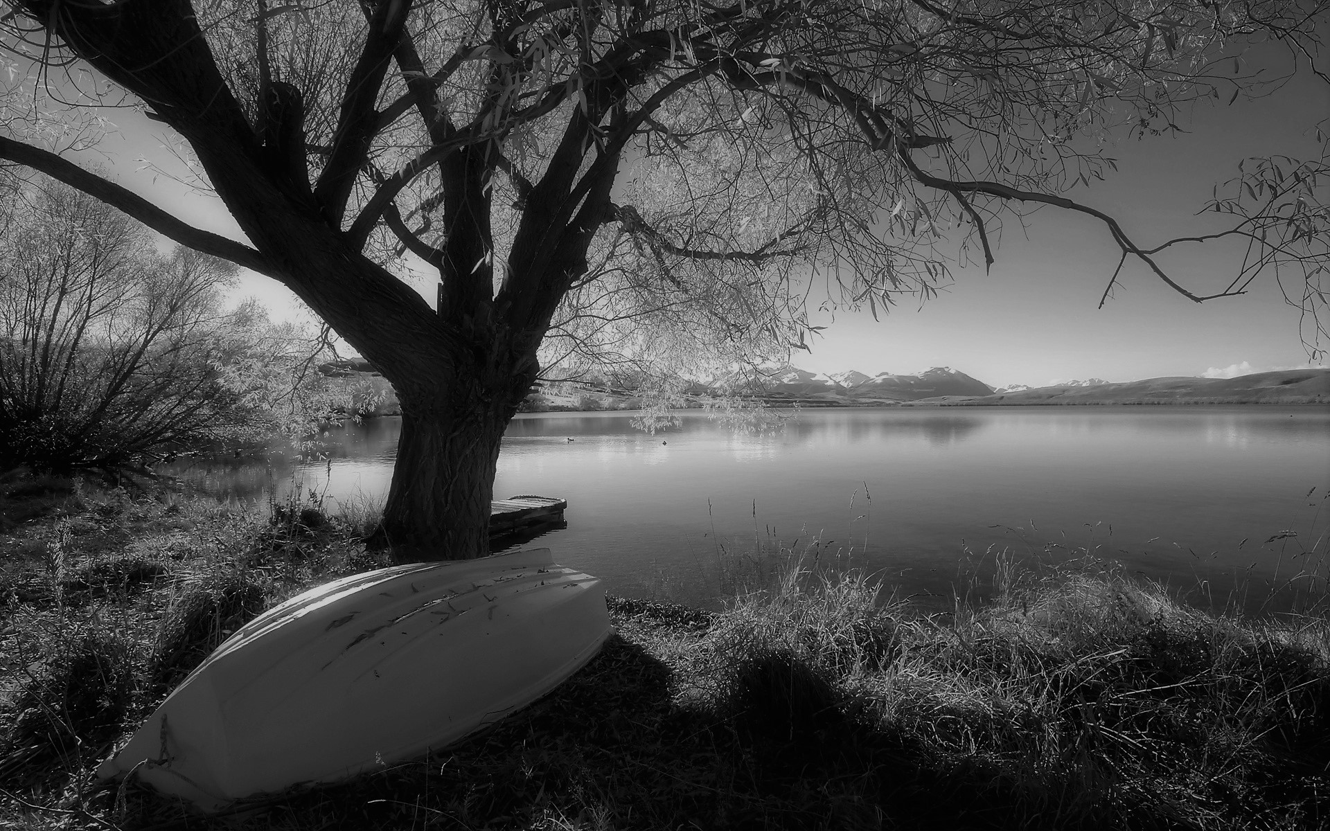 ಭಾರತೀಯಕಾವ್ಯಮೀಮಾಂಸೆಯಲ್ಲಿ ಪಾದೆಕಲ್ಲು ನರಸಿಂಹಭಟ್ಟರು ಕಾಣಿಸಿದ ಒಳನೋಟಗಳು--ಉಪಸಂಹಾರ