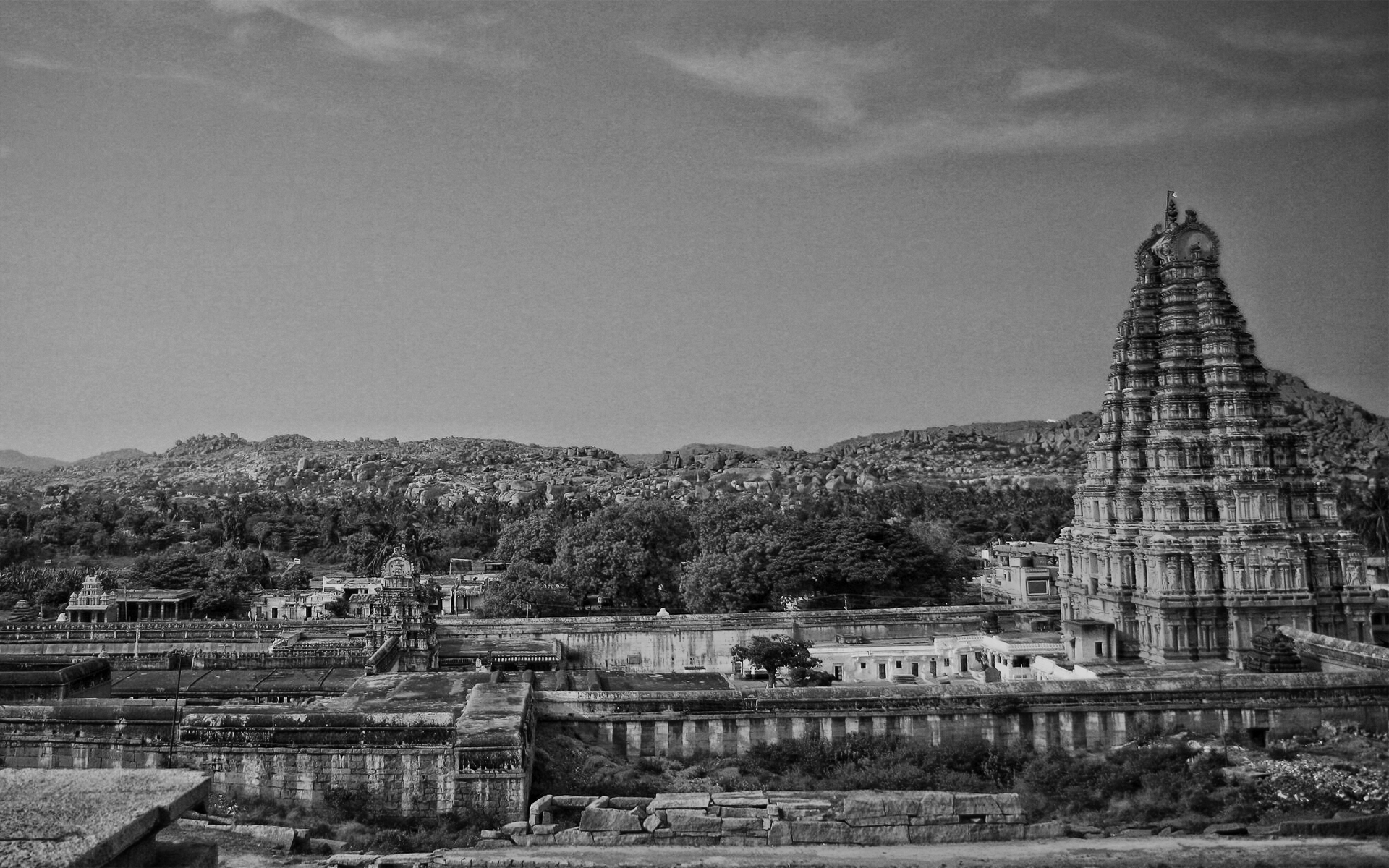 Madhava-Vidyaranya: The Consummate Polymath