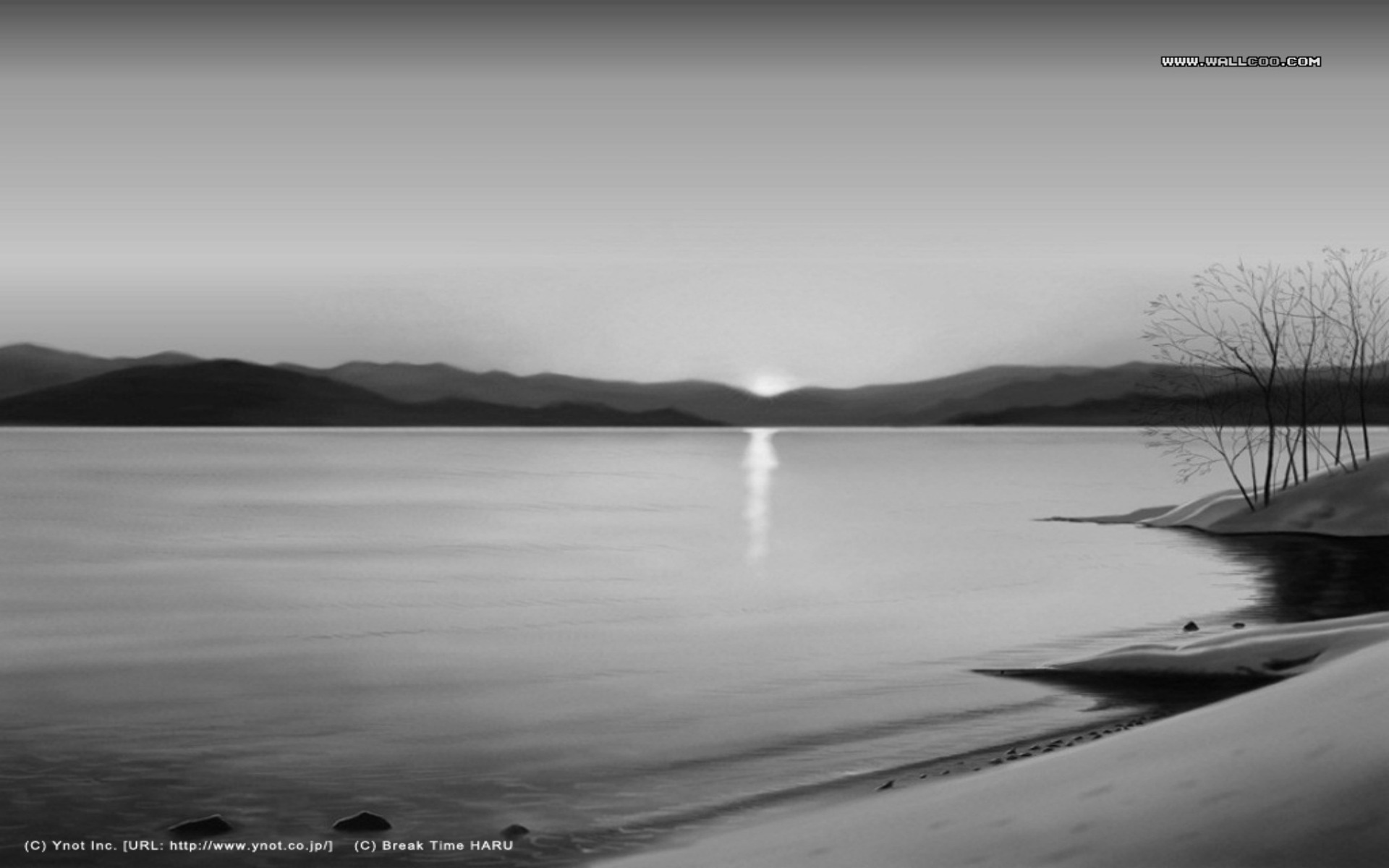 In the World of Logic and Grammar