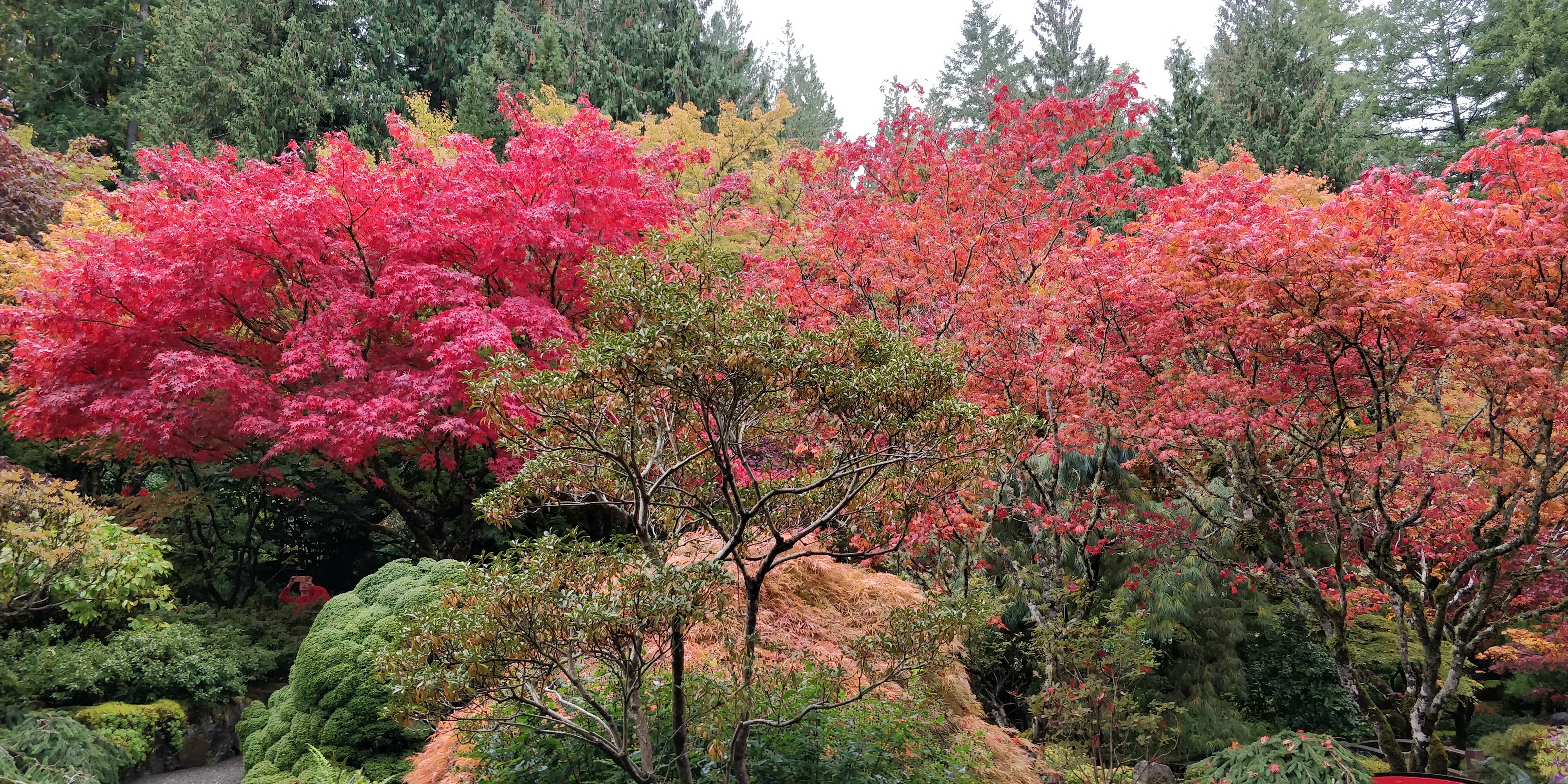 Kathāmṛta - 129 - The Story of the Bṛhatkathā-śloka-saṅgraha