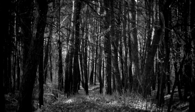 ಸಂಸ್ಕೃತಕವಿಗಳ ಕಾವ್ಯಮೀಮಾಂಸೆ - 14