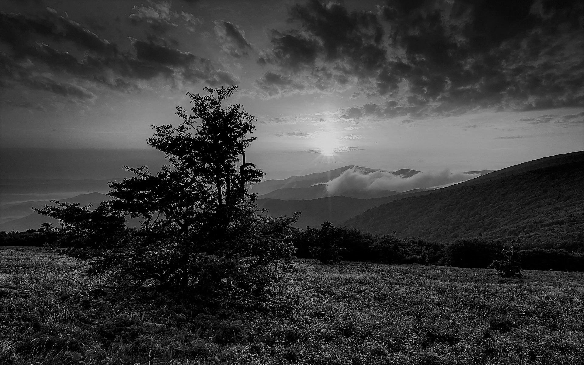 ವಾಲ್ಮೀಕಿಮುನಿಗಳ ಅಲಂಕಾರಸೌಭಾಗ್ಯ—ಉಪಮಾ (ಸಮಾಪ್ತಿ)