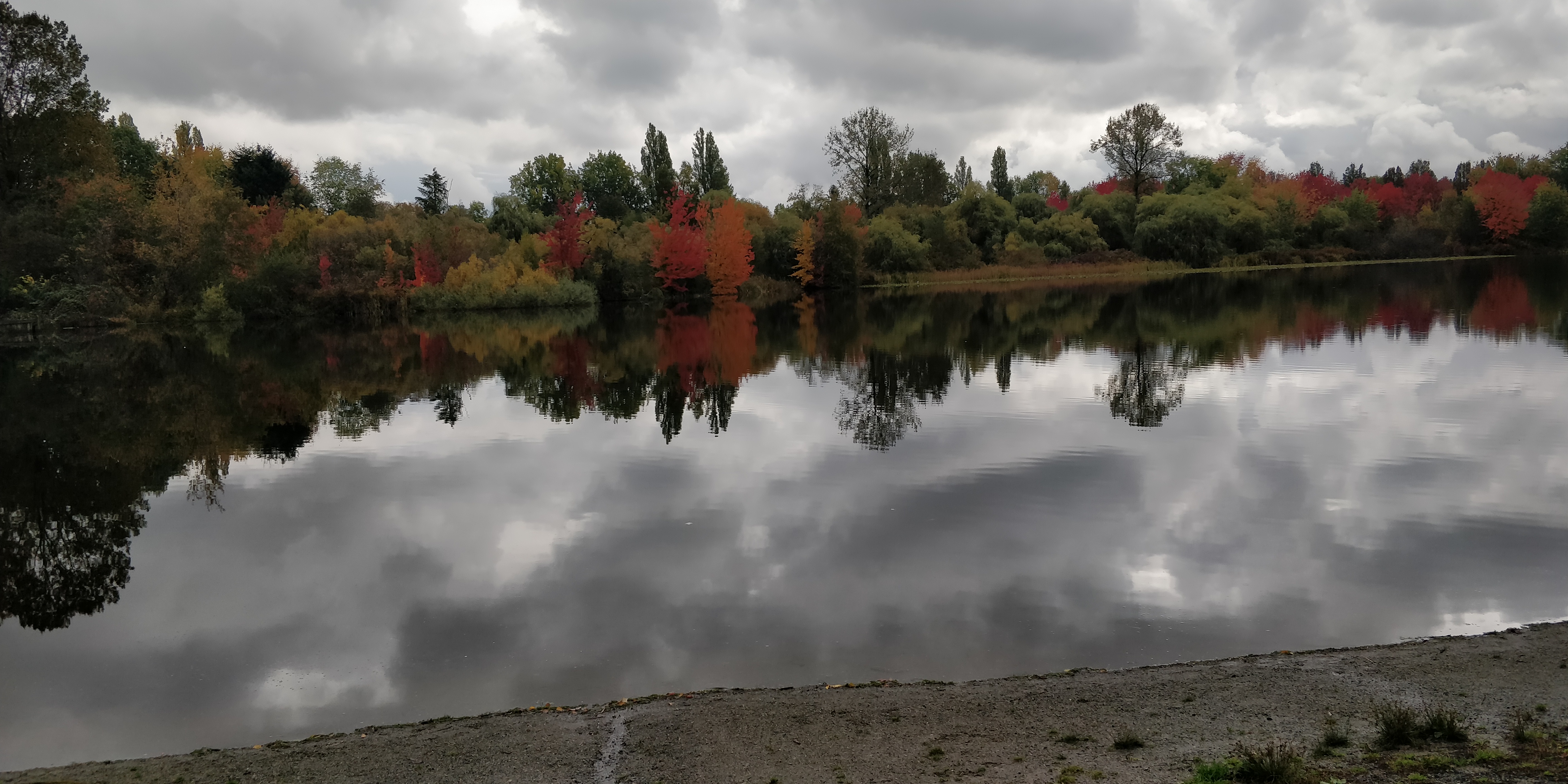 Kathāmṛta - 88 - Śaśāṅkavatī-lambaka - The Story of Vicitrakatha and The Story of Śrīdarśana