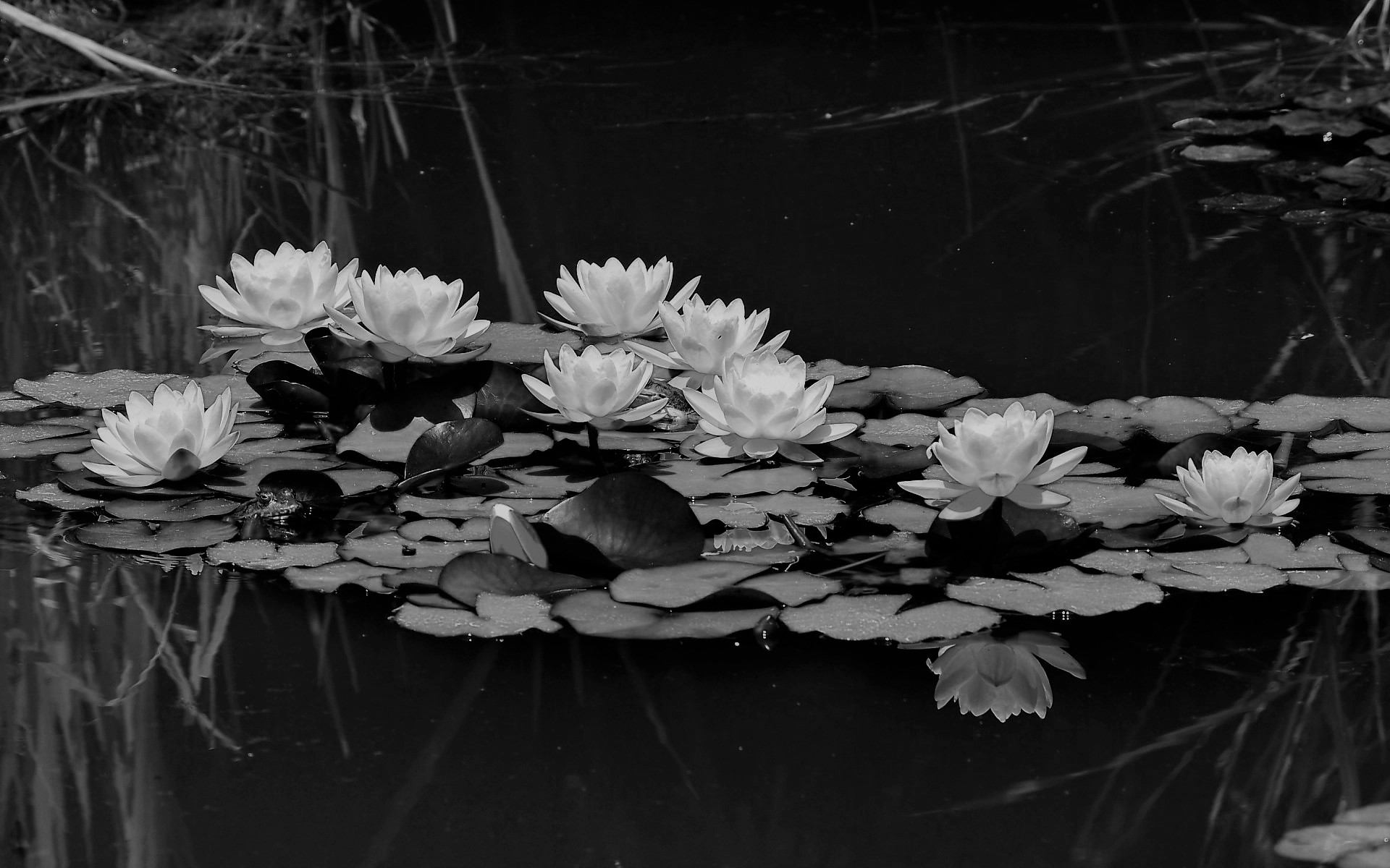 भारतीय क्षात्त्र परम्परा - Part 26