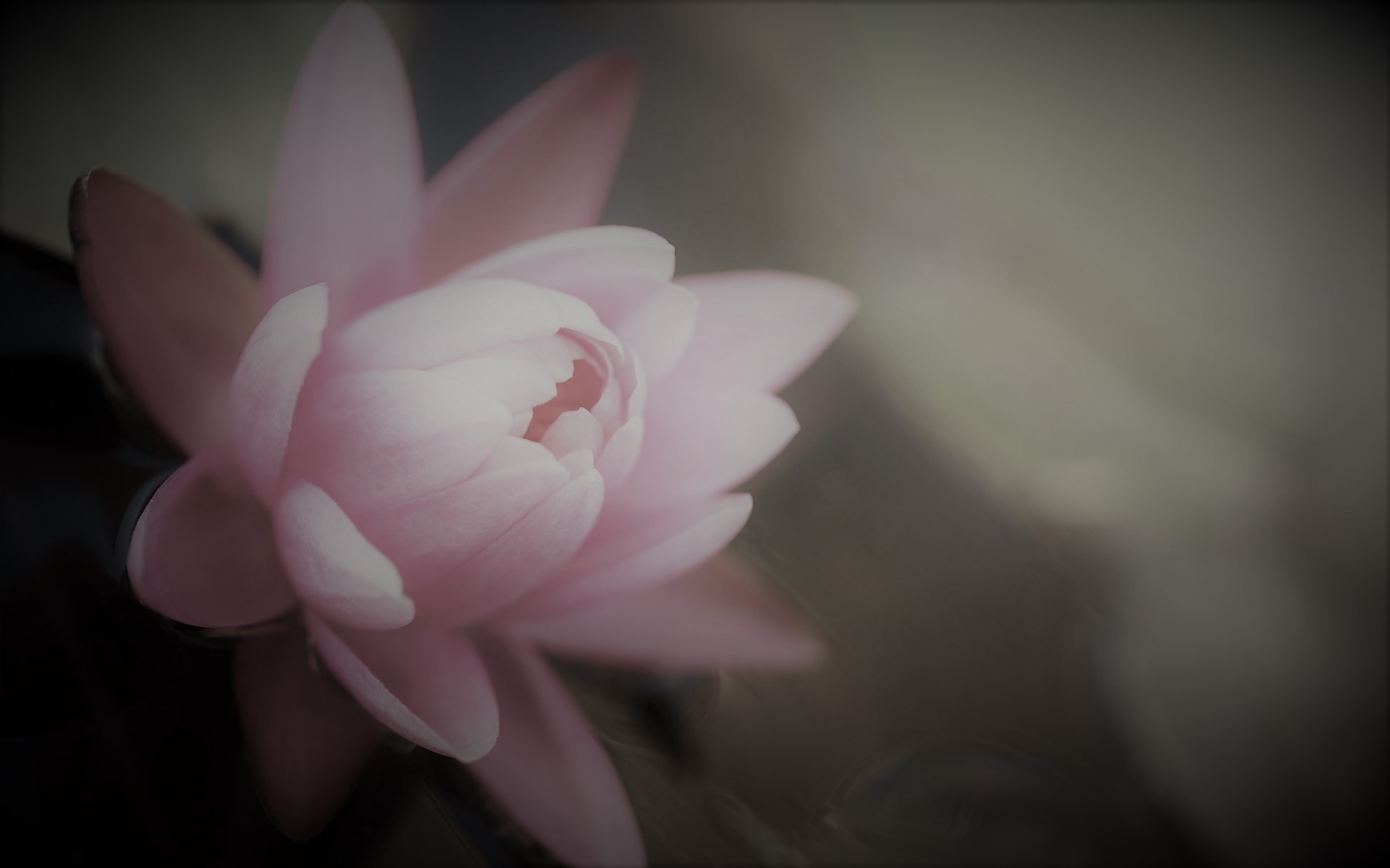 ಸಂಸ್ಕೃತಕವಿಗಳ ಕಾವ್ಯಮೀಮಾಂಸೆ - 10