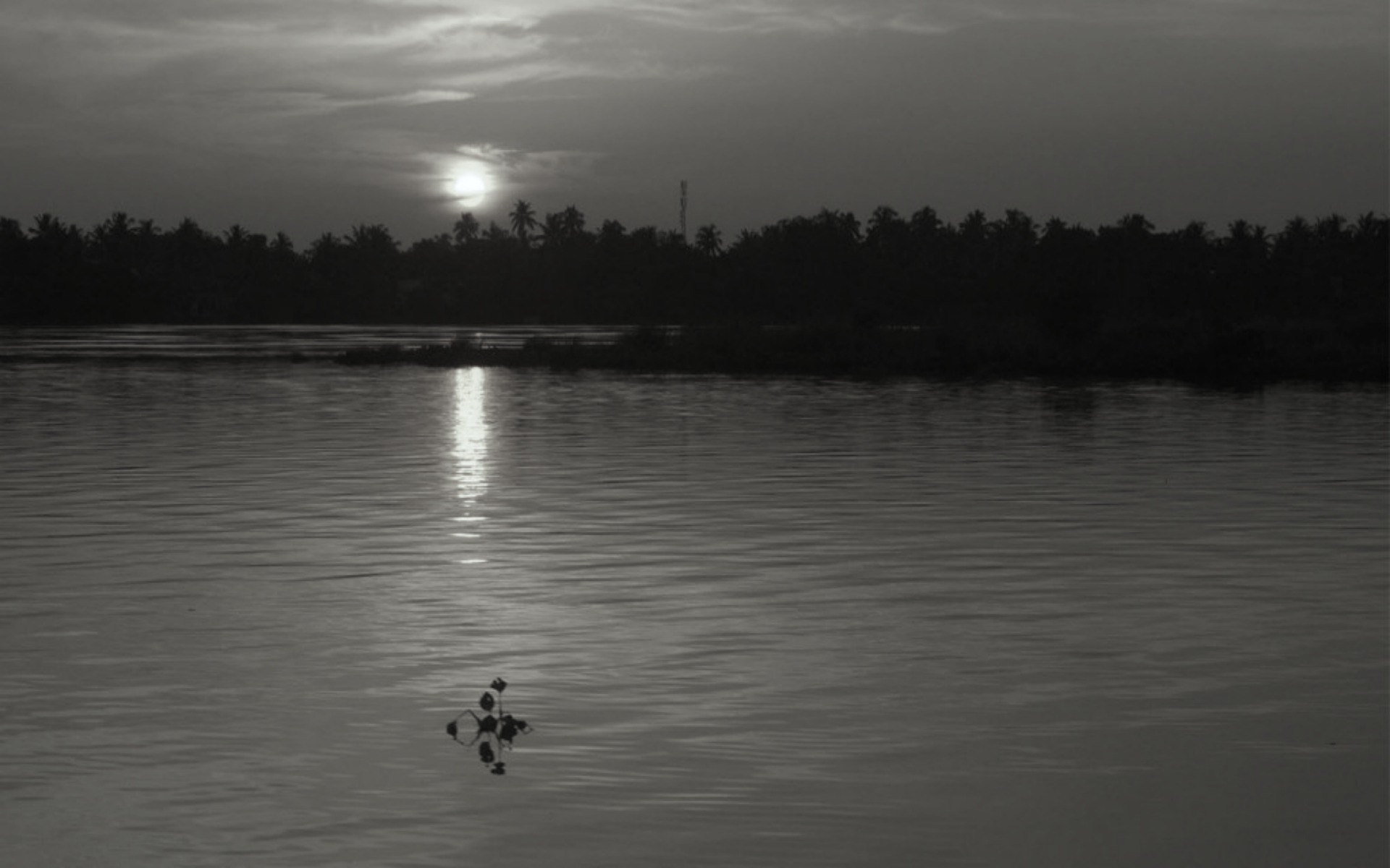 A story for a verse - Ambikādatta and Vāsiṣṭhagaṇapati-muni