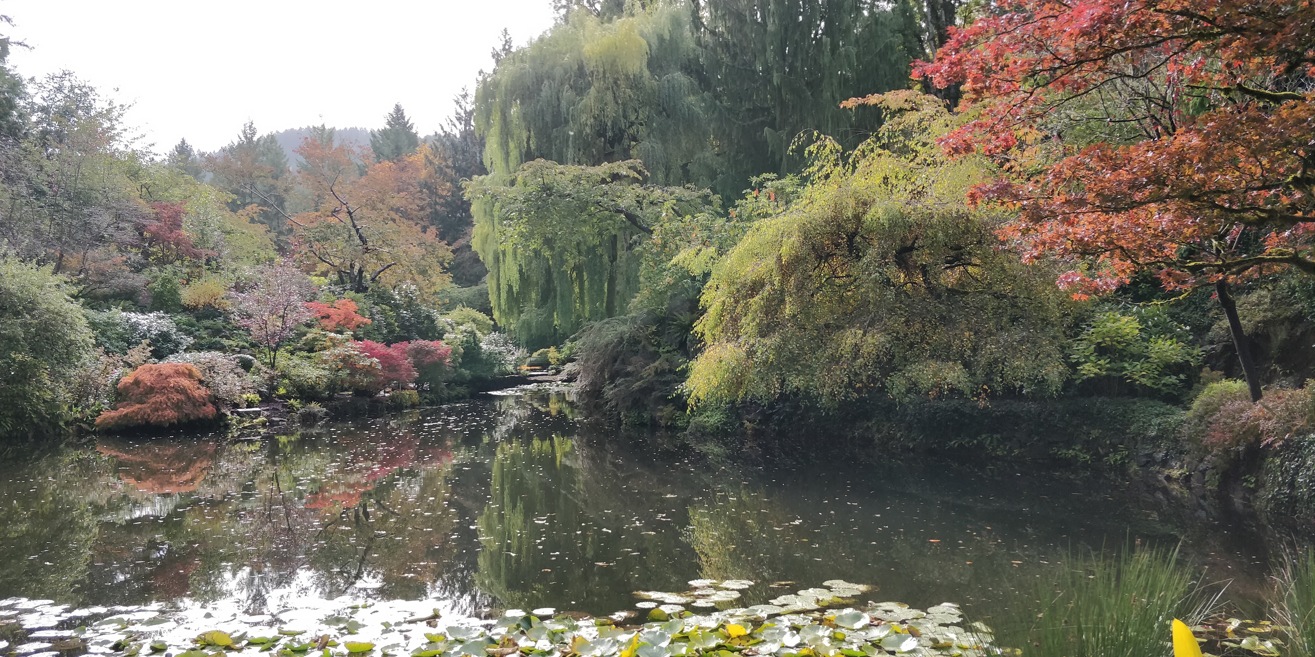 Kathāmṛta - 111 - Suratamañjarī-laṃbaka - The Story of Śūrasena and Suṣeṇā - The end of Caṇḍa-mahāsena and Vatsa-rāja