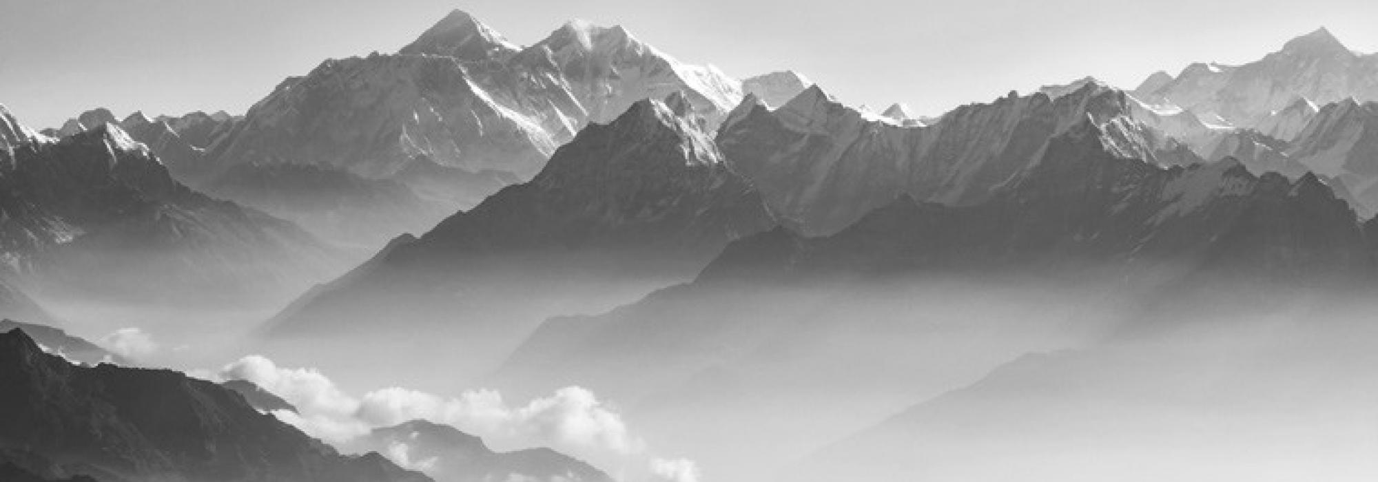 The Essential Sanātana-dharma - Dharma