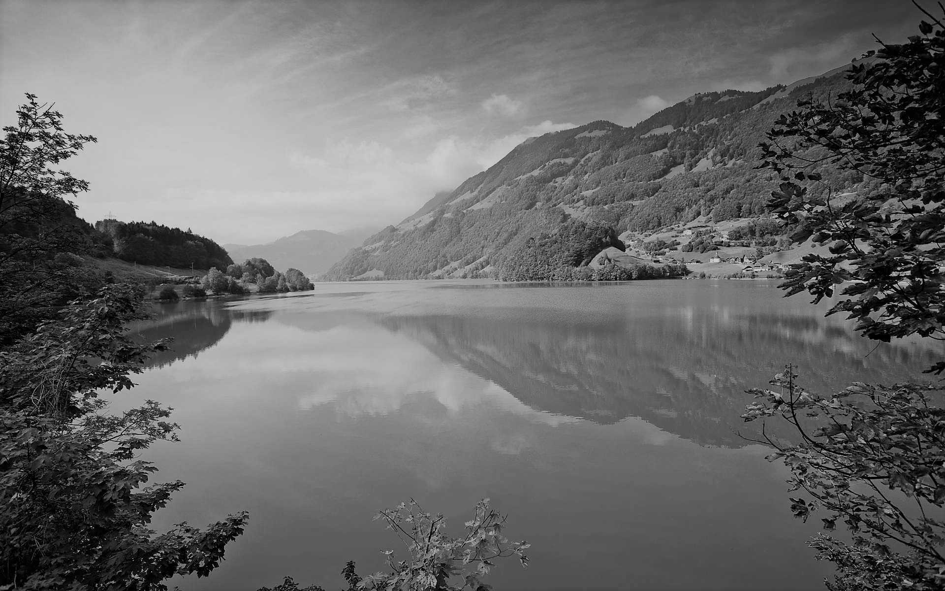 रसाभासो निरस्यते—३