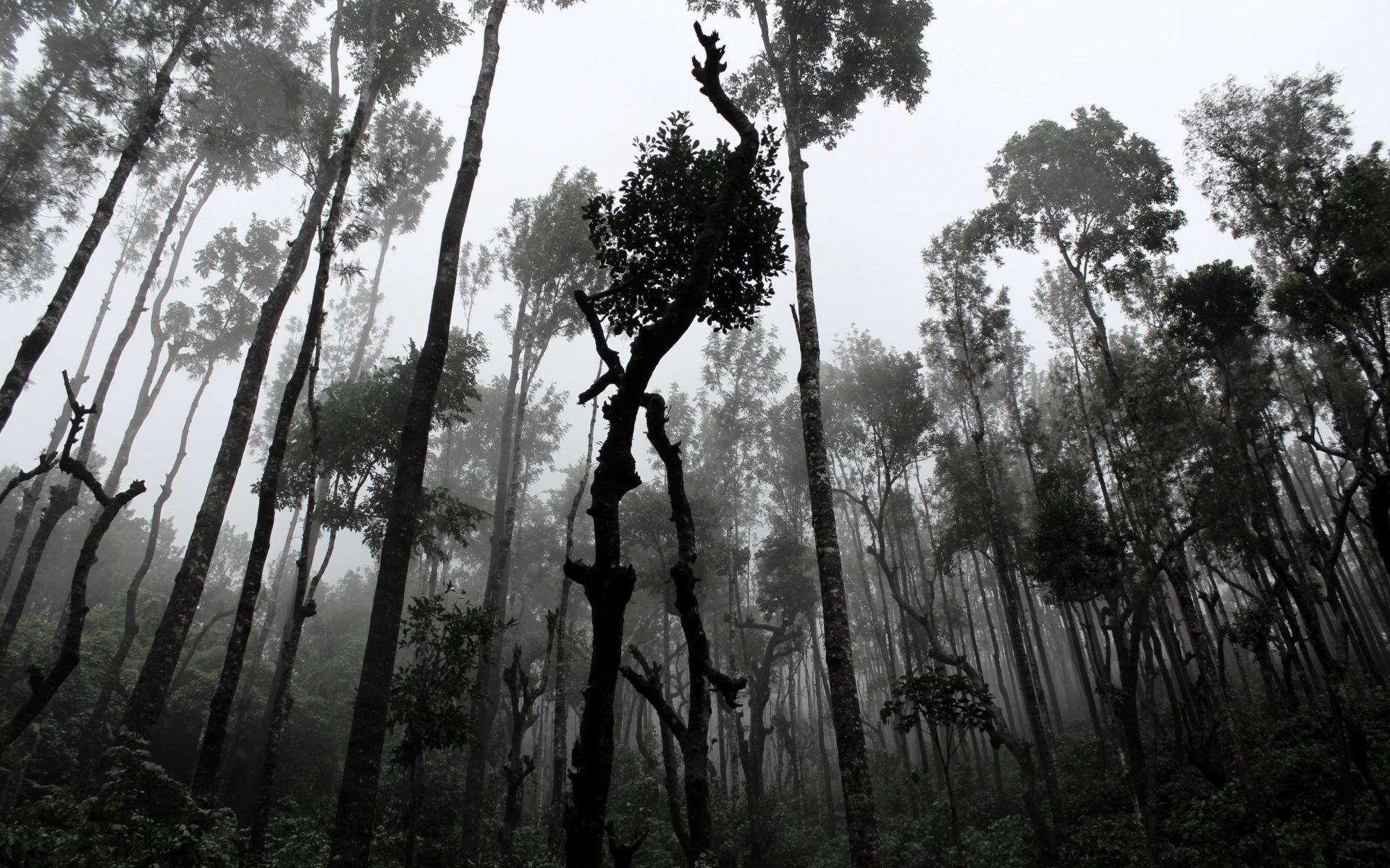 Mahābhārata – Episode 55 – The Kaurava Army Faces Arjuna